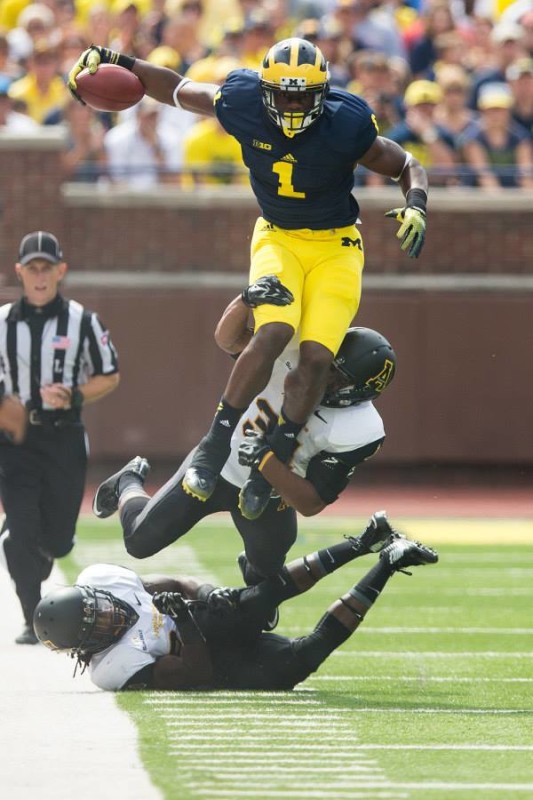 Devin Funchess 2