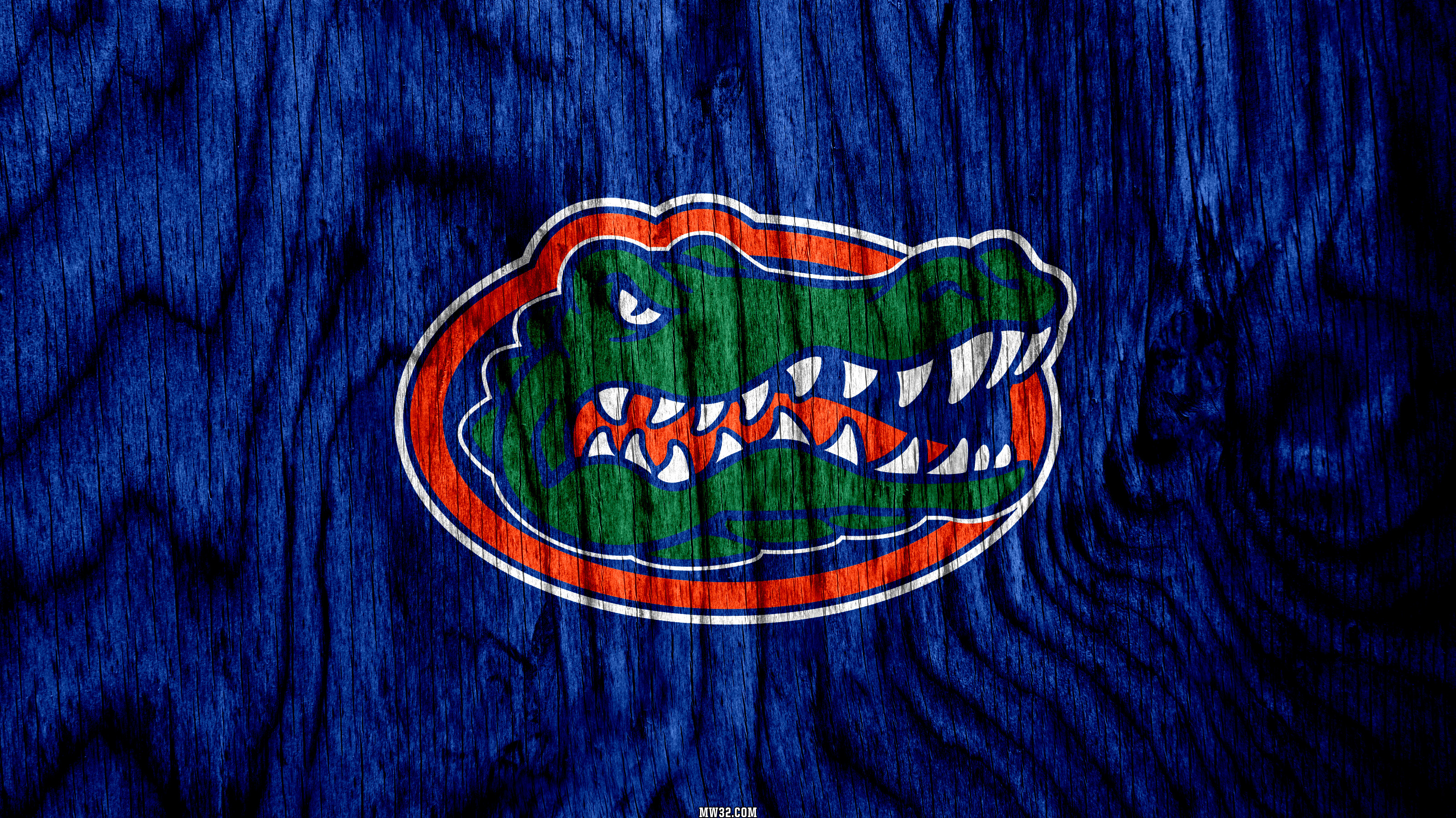 University of Florida gators