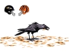 Ravens vs Bengals