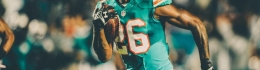 Dolphins throwback