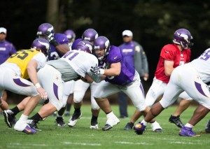 minnesota vikings