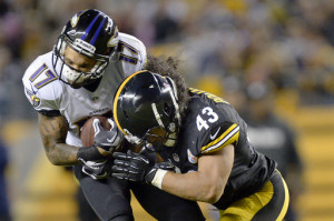 Troy Polamalu, Tandon Doss