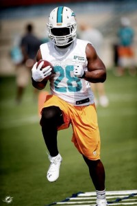 Rookie Dolphins