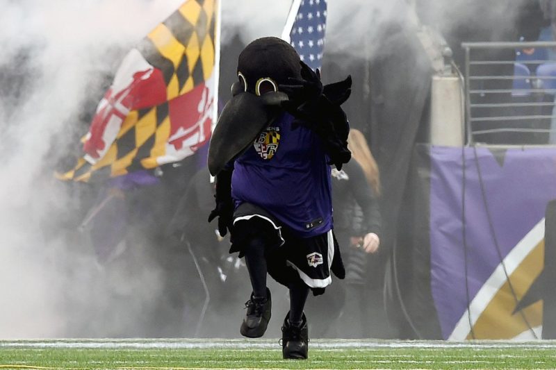 Baltimore-Ravens-mascot-Poe