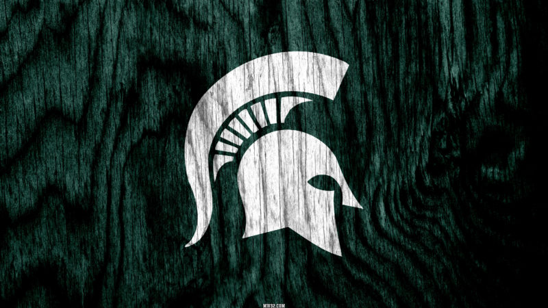 Michigan State