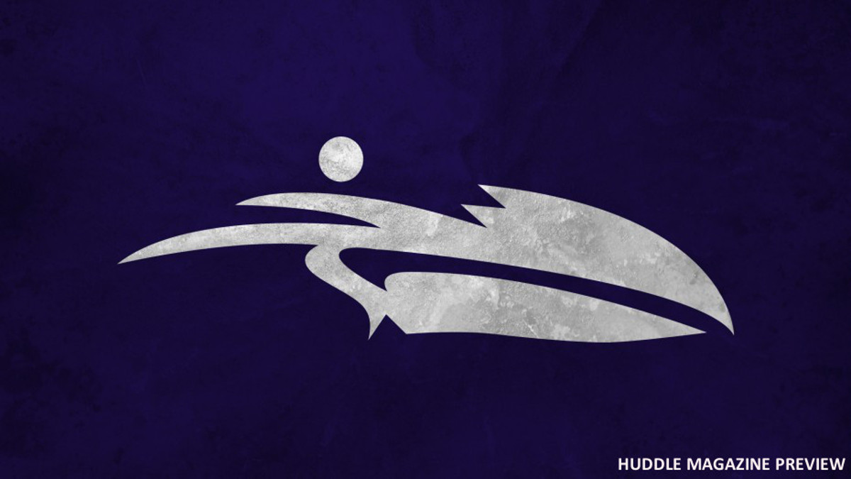 baltimore ravens