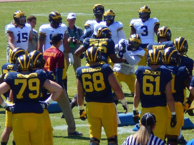 michigan wolverines