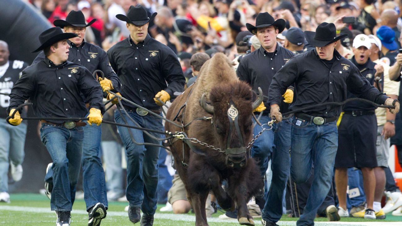 colorado buffaloes ncaa week 10