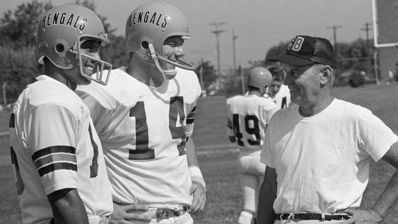 Paul Brown Bengals