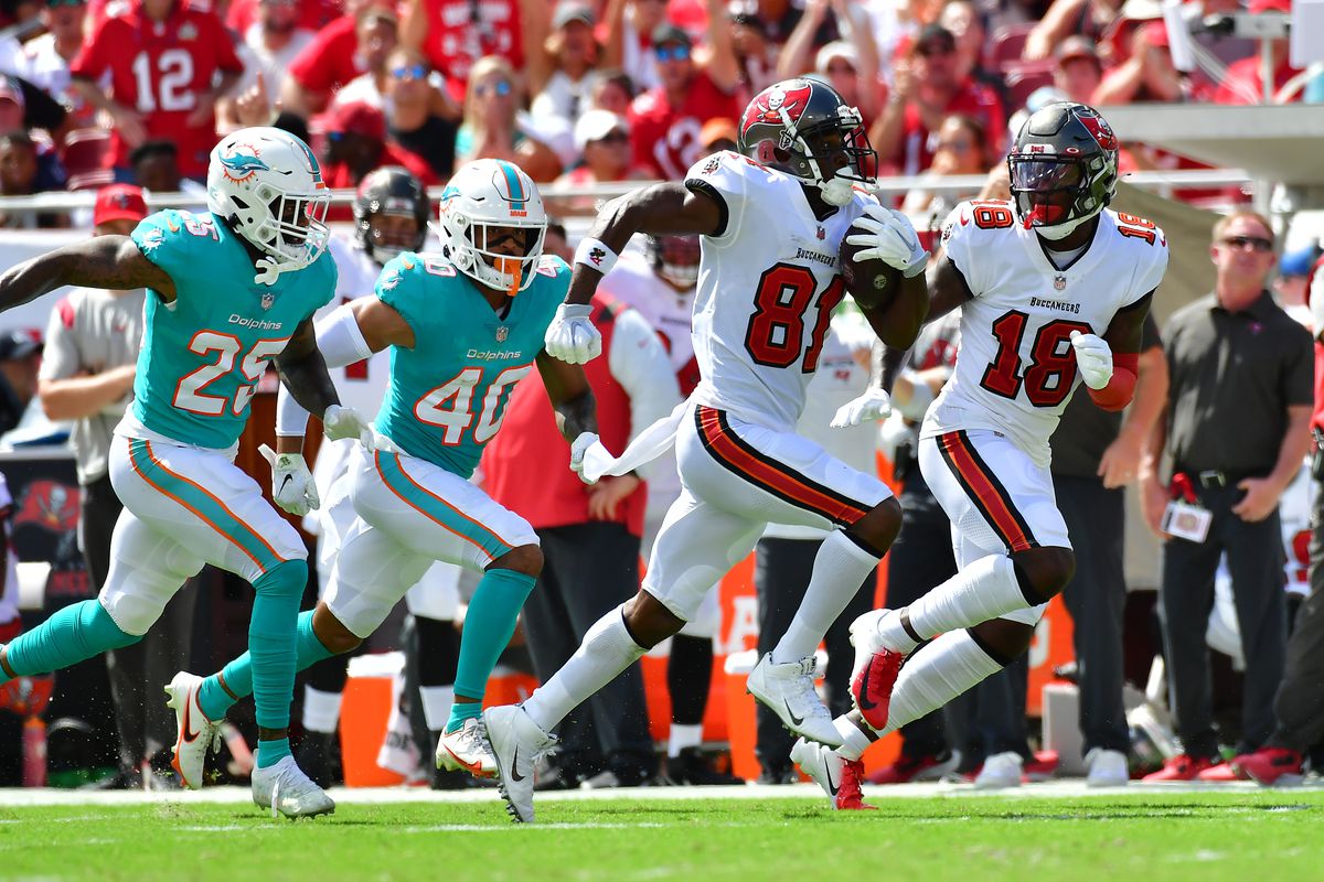 Business as usual (Miami Dolphins vs Tampa Bay Buccaneers 17-45)