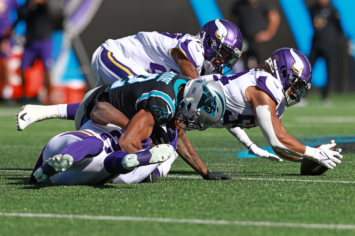 Vikings Panthers