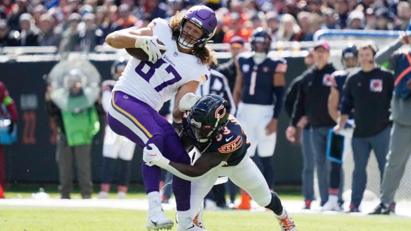 Hockenson-Vikings-Bears