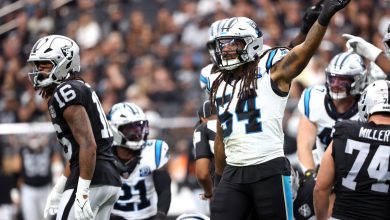 Panthers Raiders