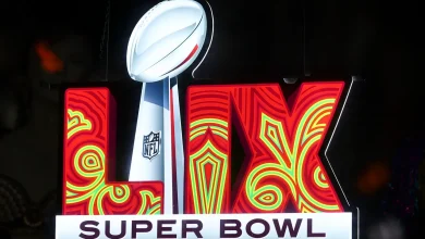 Super Bowl LIX logo 2