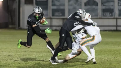 IFL Frogs Dolphins